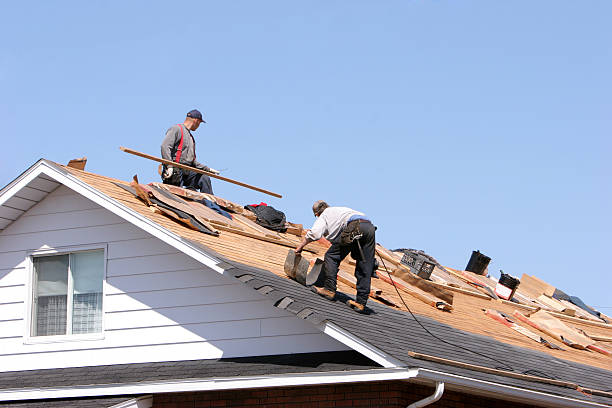 Best Hot Roofs  in Lutz, FL